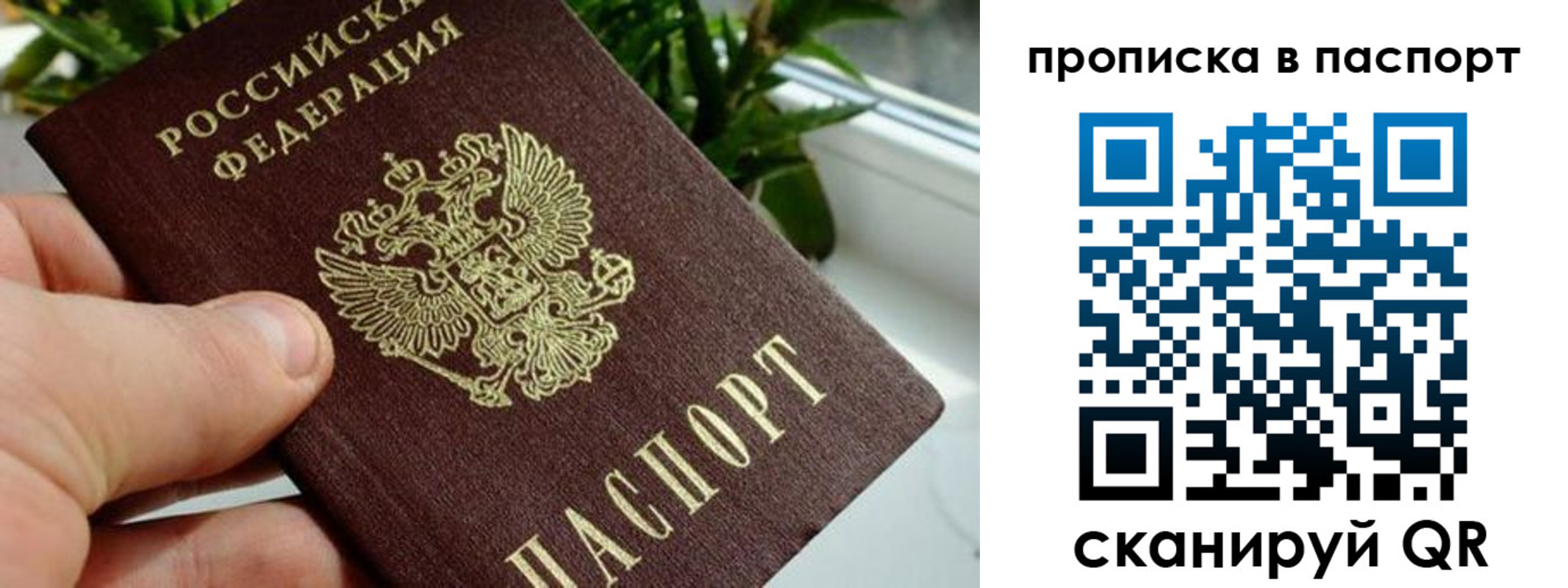 пропишу в квартире в Дальнегорске